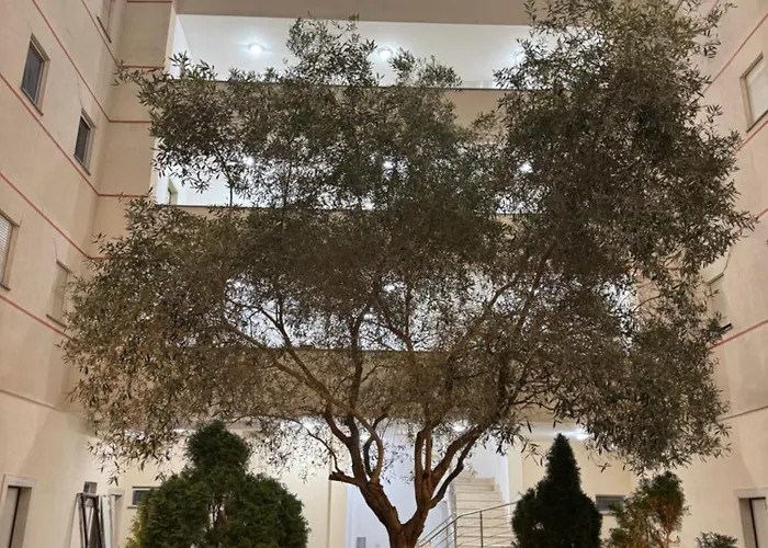 Relax * Golem (Tirana)